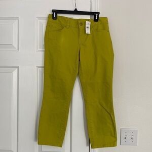 NWT Anny Taylor Loft modern crop pants in bright green.
